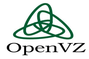 openvz network bug