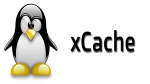 XCache var cache was not initialized properly