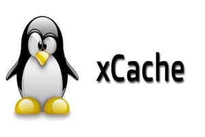 XCache var cache was not initialized properly
