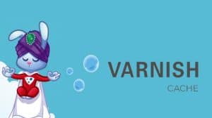 install varnish cache