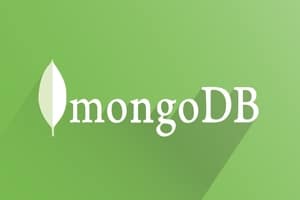 Install MongoDB