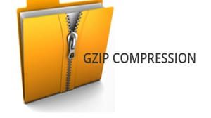 enable Gzip compression