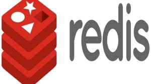 install redis