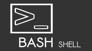 bash history