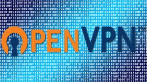 install openvpn client