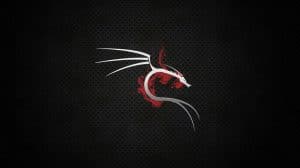 Download Kali Linux Wallpapers (Free) - Grepitout