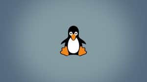 Linux Kernel 5.0 Released