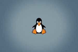 Linux Kernel 5.0 Released