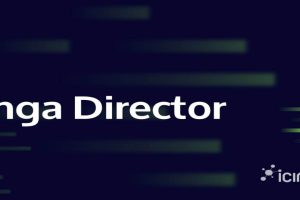 Install Icinga Director